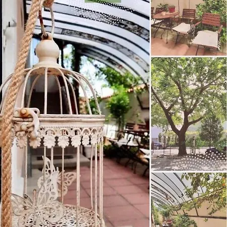 Petra Hotel 2*